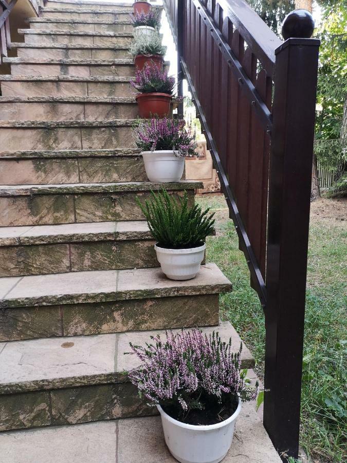Zajazd Lesny Tuszyn Exterior foto